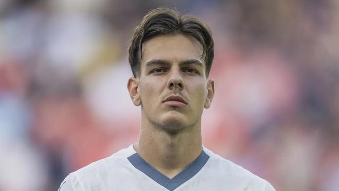 更倾向于引 更倾向于引