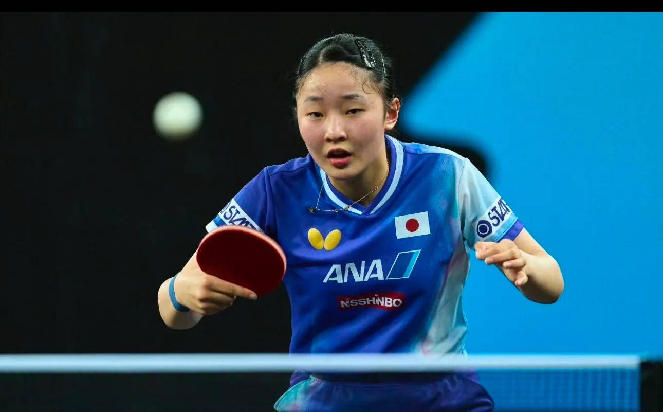 参考过往随 参考过往随